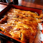 鰻 和処 いづ喜 - 