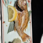 酒菜やまざき 本店 - 