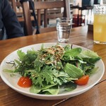 PizzeriaTrattoriaDaPeGONZO - ランチのサラダ（2人前）