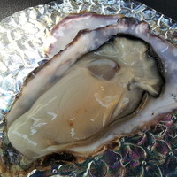 築地青空三代目 本店 - 牡蠣・生(400円) 醤油なしでそのまま♪
                