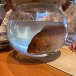 日本料理 別府 廣門 - 