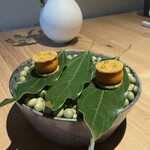 レスピラシオン - 