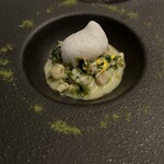 ヴィヴァッカス - 