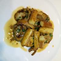 ラシェット・ブランシュ - きのこと焼きニュッキのフリカッセ