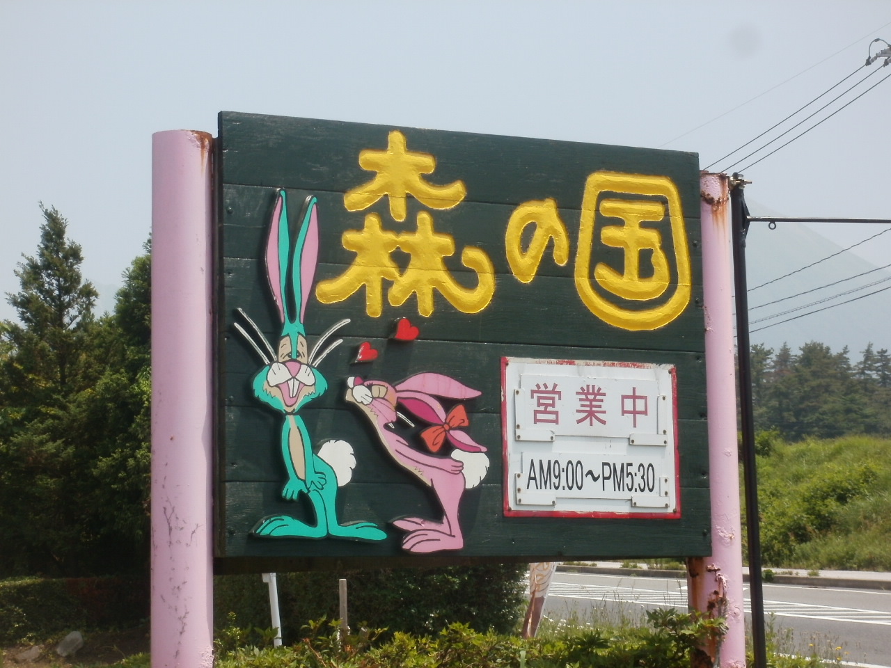 森の国 name=