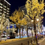 サル食堂 - 年末の御堂筋のイルミ