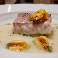 TATSUMI - 白甘鯛