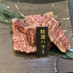 小川亭 とらちゃん - 