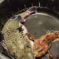 日本料理 梅林 - 