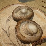 ヤキトリサクラ - 