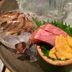 磯一 - 海老はまだピクピク動く活きの良いもの!!