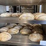 バゲットラビット - 買われていくのを待つブールたち かわいい