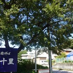 千里十里  - 