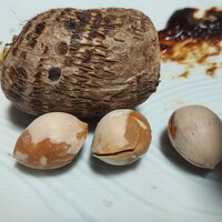 料亭 長坂 - 