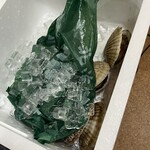 浜焼活貝 いさむ - 