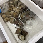 浜焼活貝 いさむ - 