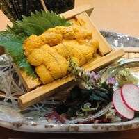 割烹 川田 - 雲丹刺身
