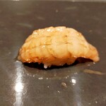 鮨処 しし - ガスエビ