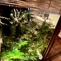 御料理 光安 - 