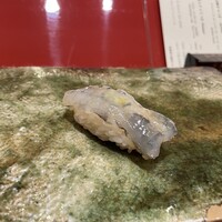 鮨　銀座　鰤門 - 