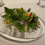 レフェルヴェソンス - 