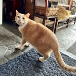 蕎麦 すぎむら - 