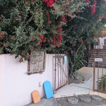 カンテ グランデ - 