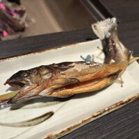 銀座方舟 大吟醸いろり店 - 