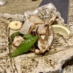 肴と炭火焼 玉 - アオリイカ
