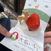 大仏いちご