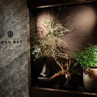 Iron Bay - 