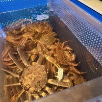 日比谷 蟹みつ - 