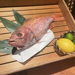 のどぐろ専門 銀座中俣 はなれ - 