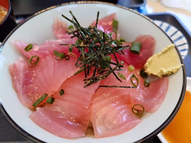 YA-MAN - maguro Maguro Toya - Kii Katsuura/Kaisen-don (Seafood bowl) | Tabelog