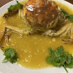 台湾料理 光春 - 