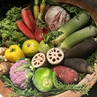 レフェルヴェソンス - 