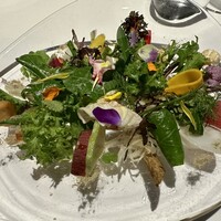 レフェルヴェソンス - 