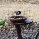 くつきそば 永昌庵 - 