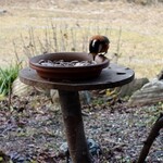 くつきそば 永昌庵 - 