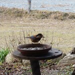 くつきそば 永昌庵 - 