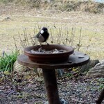 くつきそば 永昌庵 - 