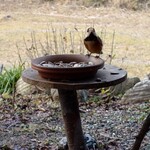 くつきそば 永昌庵 - 