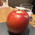 セララバアド - 