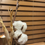 セララバアド - 