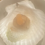 セララバアド - 