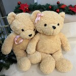 ホワイトステラ - 