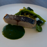 THE HARBOR TERRACE Restaurant - 