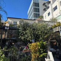 表参道バンブー - 