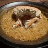 Potoro - 
