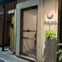 Potoro - 